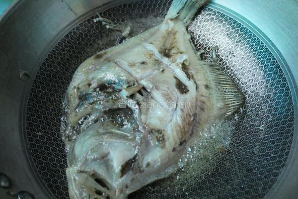 红烧多宝鱼的做法图解3
