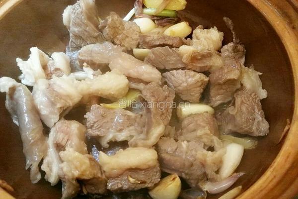 番茄炖牛腩的做法图解4