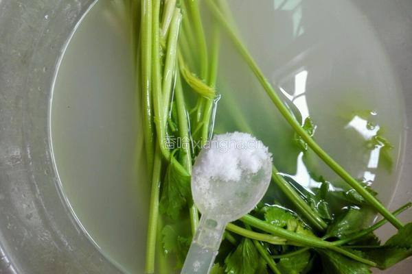 芹菜炒木耳的做法图解3