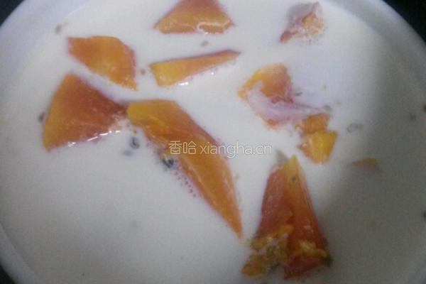 木瓜炖牛奶的做法图解4