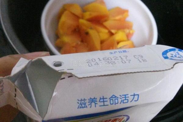 木瓜炖牛奶的做法图解3