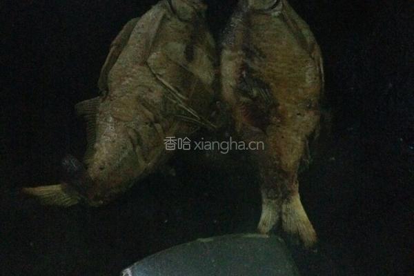 红烧扁鱼的做法图解2
