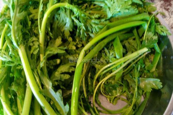 蒸茼蒿的做法图解1