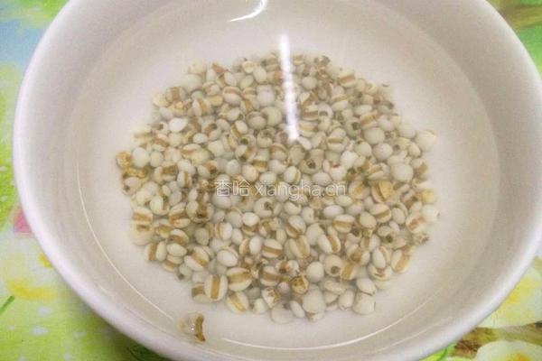薏米冬瓜排骨汤的做法图解3
