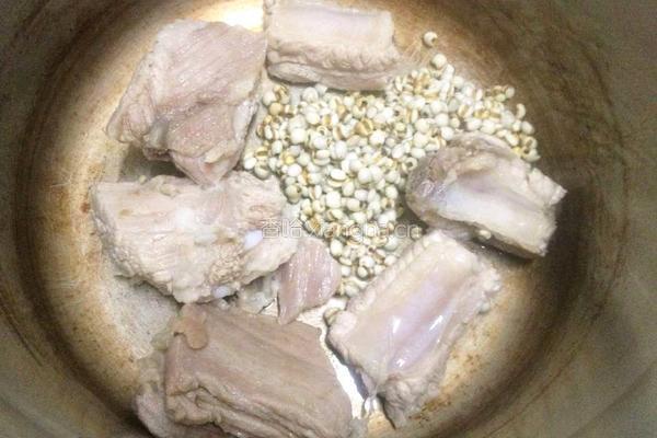 薏米冬瓜排骨汤的做法图解5