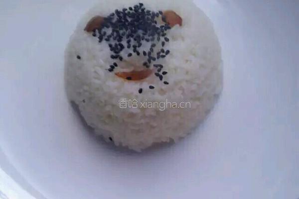 黄焖鸡米饭做法的做法图解5