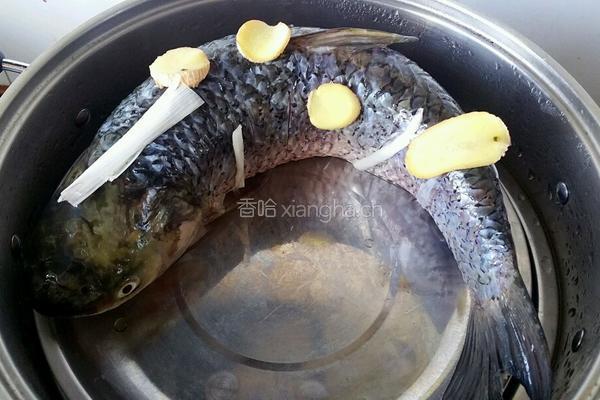 清蒸草鱼的做法图解3