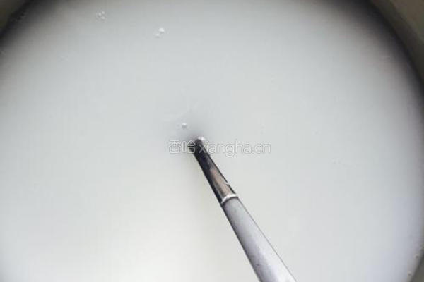 水晶粽水晶月饼水晶包星巴克星冰粽做法的做法图解3