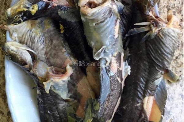 《鲶鱼炖茄子》的做法图解2