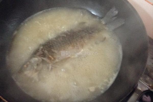 豆腐鱼汤的做法图解5