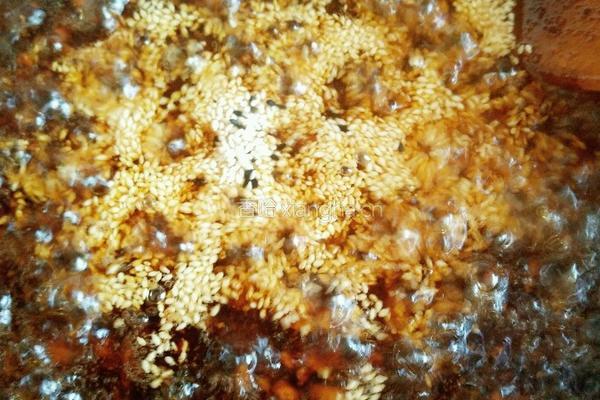 豆豉牛肉酱的做法图解13