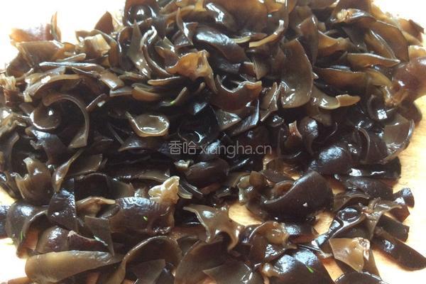 茴香饼的做法图解4