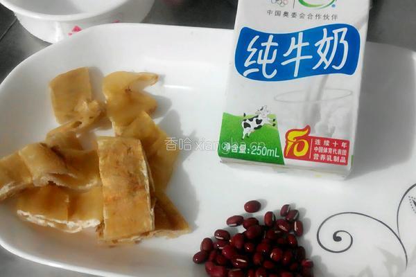 牛奶炖花胶的做法图解1