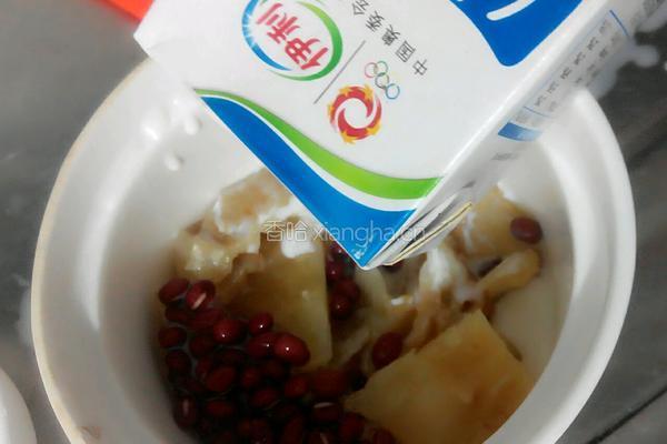 牛奶炖花胶的做法图解3