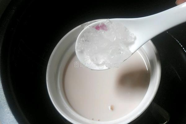 牛奶炖花胶的做法图解9