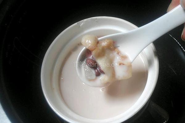 牛奶炖花胶的做法图解8