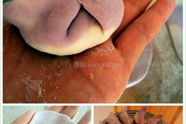 香菇馅饺子的做法图解11