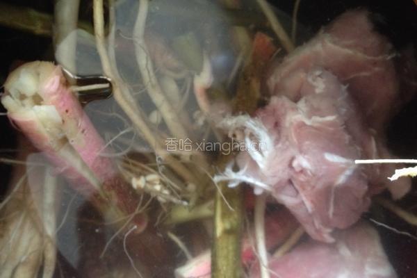 薏米藤菜猪骨汤的做法图解3