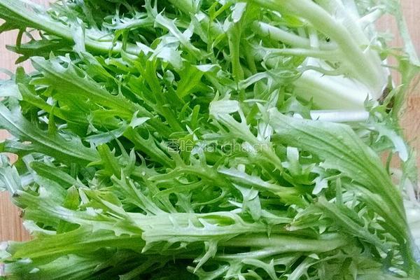 清炒苦菊的做法图解1
