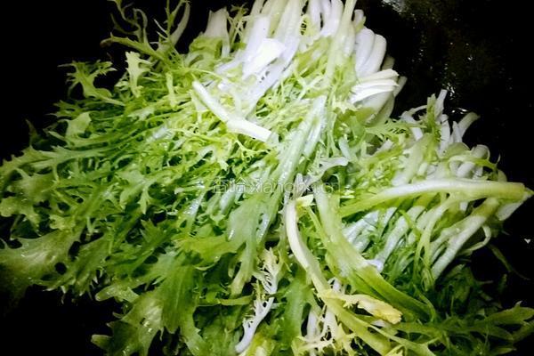 清炒苦菊的做法图解5