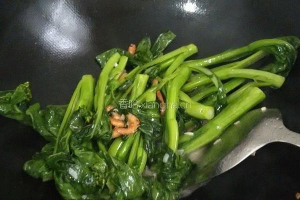 海米油菜苔的做法图解8