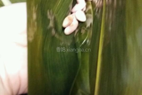 红豆肉粽的做法图解6