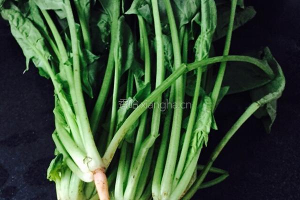 姜蒜香汁菠菜的做法图解1