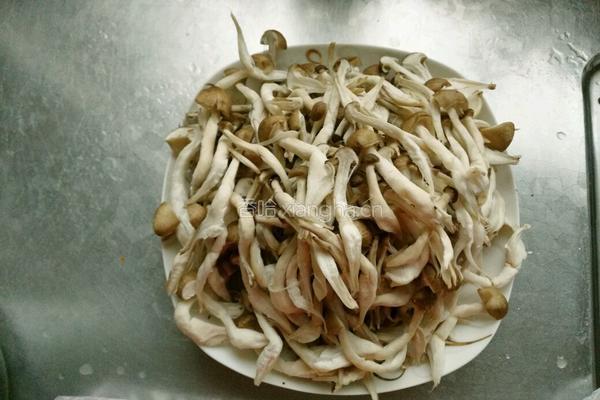 麻辣手撕茶树菇的做法图解1