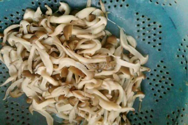 麻辣手撕茶树菇的做法图解2