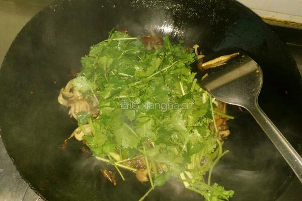 麻辣手撕茶树菇的做法图解8