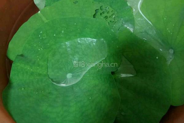 荷叶饭的做法图解1