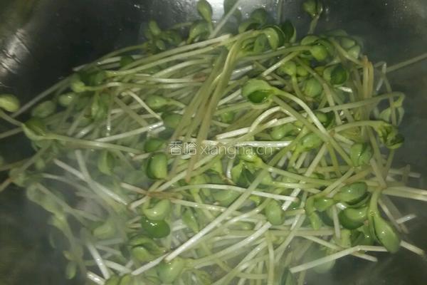 肉丝炒豆苗的做法图解5