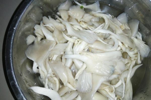 炒平菇的做法图解1