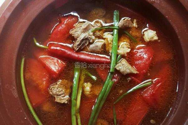 番茄牛腩煲的做法图解5