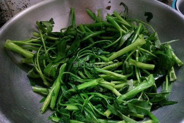 腐乳空心菜的做法图解3