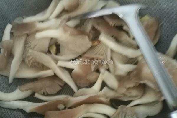 平菇肉片汤的做法图解6