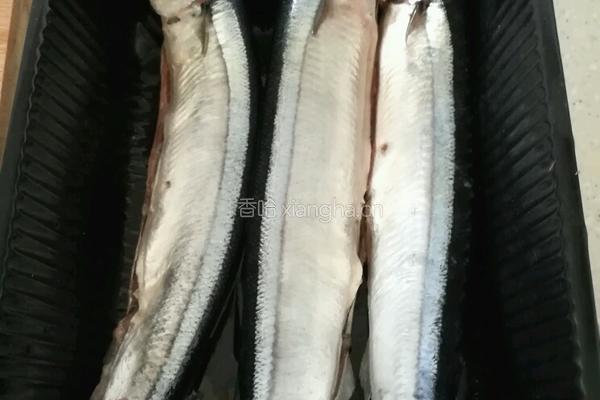 香煎秋刀鱼的做法图解3