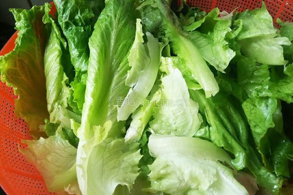 清炒生菜的做法图解1