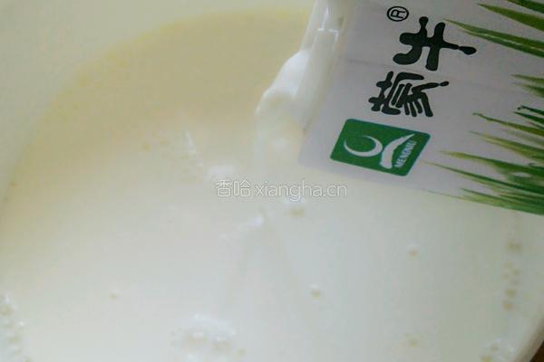自制酸奶的做法图解4