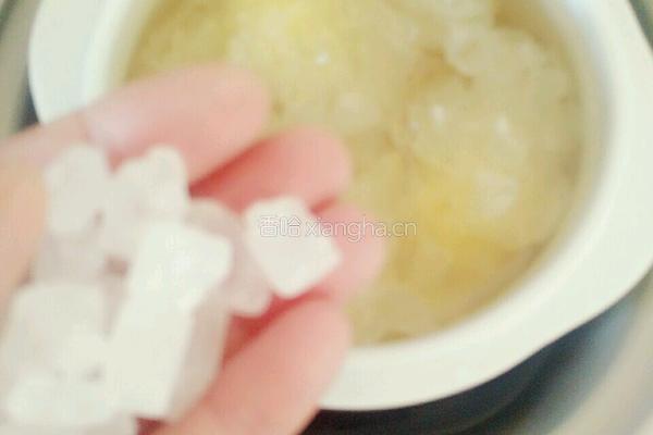 小熊电炖锅系列之枸杞银耳汤的做法图解6