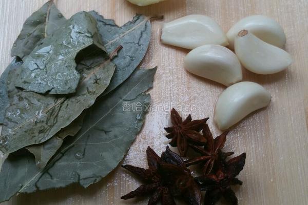 豉油鸡翅的做法图解4