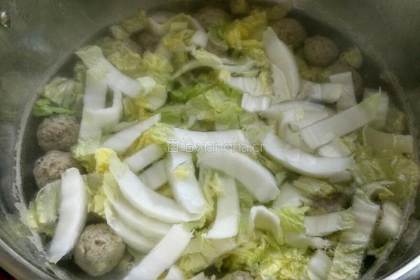 虾仁牛肉萝卜丸子汤的做法图解12