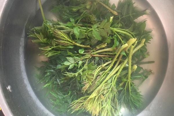 刺老芽炒鸡蛋的做法图解2