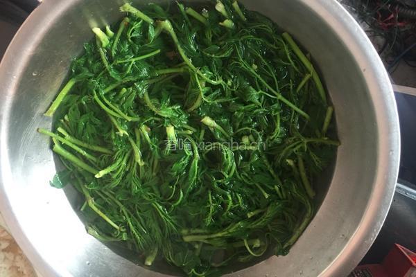 刺老芽炒鸡蛋的做法图解3