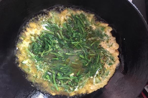 刺老芽炒鸡蛋的做法图解9