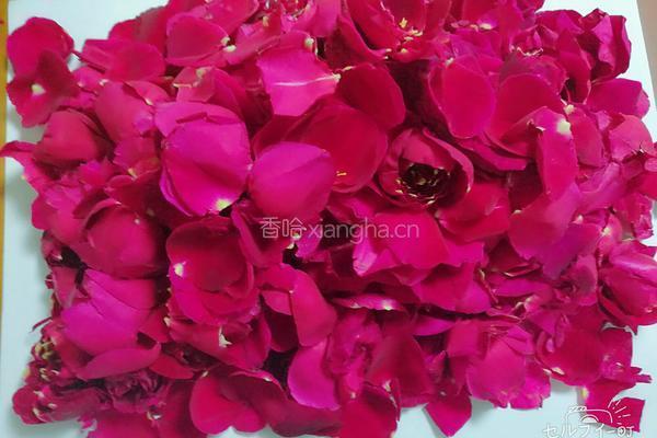 玫瑰花酱的做法图解1