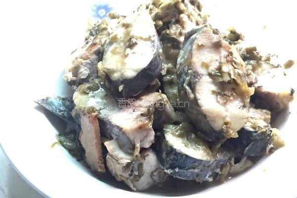 酸菜（糟菜）马鲛鱼