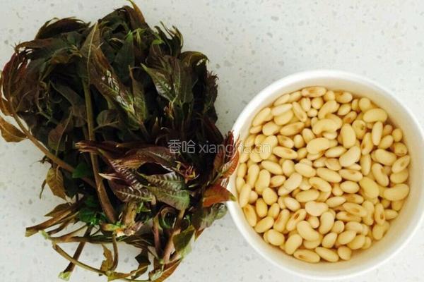 香椿拌黄豆的做法图解1