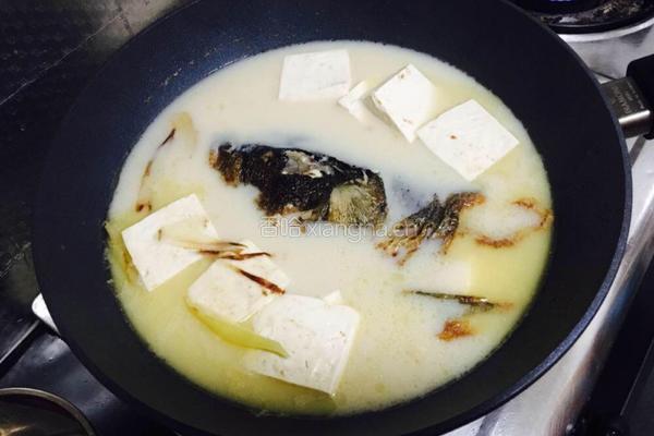 鱼头豆腐汤的做法图解3