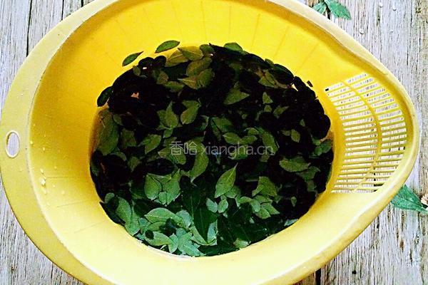 花椒叶煎饼的做法图解2